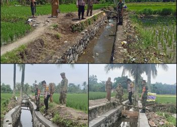 Pemerintah Desa subo DD 2024 Fokus Penguatan Pertanian dan desa subo maju