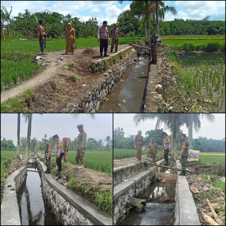 Pemerintah Desa subo DD 2024 Fokus Penguatan Pertanian dan desa subo maju Pemerintah Desa subo DD 2024 Fokus Penguatan Pertanian dan desa subo maju