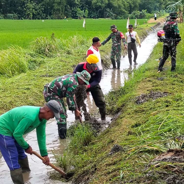 Koramil Nogosari Normalisasi Irigasi Bersama Warga Desa Rembun
