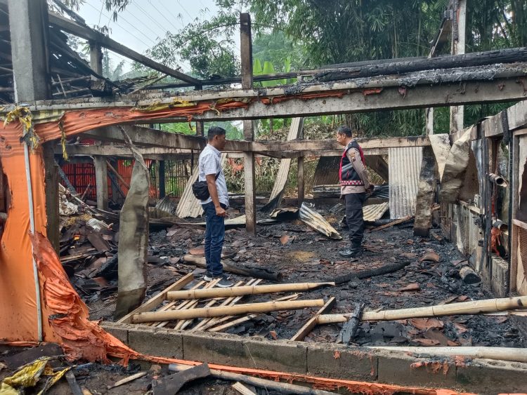 Ditinggal istrahat, kandang ayam di Tengaran terbakar. Ditinggal istrahat, kandang ayam di Tengaran terbakar.