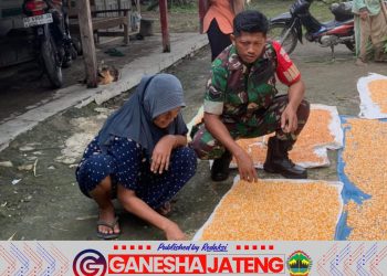 Babinsa Kemusu Pererat Hubungan dengan Petani Desa Kendel Melalui Komsos