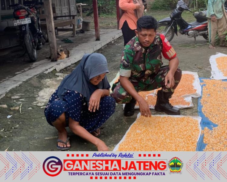 Babinsa Kemusu Pererat Hubungan dengan Petani Desa Kendel Melalui Komsos Babinsa Kemusu Pererat Hubungan dengan Petani Desa Kendel Melalui Komsos