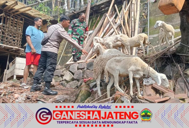 Babinsa dan Bhabinkamtibmas Bersinergi Cegah Penyebaran PMK di Surakarta Babinsa dan Bhabinkamtibmas Bersinergi Cegah Penyebaran PMK di Surakarta