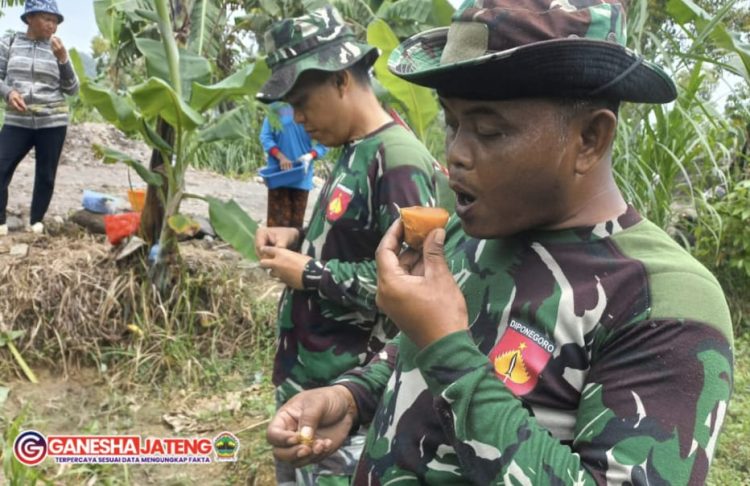 Satgas Dapat Dukungan Logistik Hasil Bumi Warga Satgas Dapat Dukungan Logistik Hasil Bumi Warga
