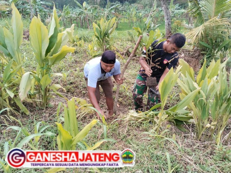 Tambah Stamina Anggota Cari Empon-Empon Tambah Stamina Anggota Cari Empon-Empon