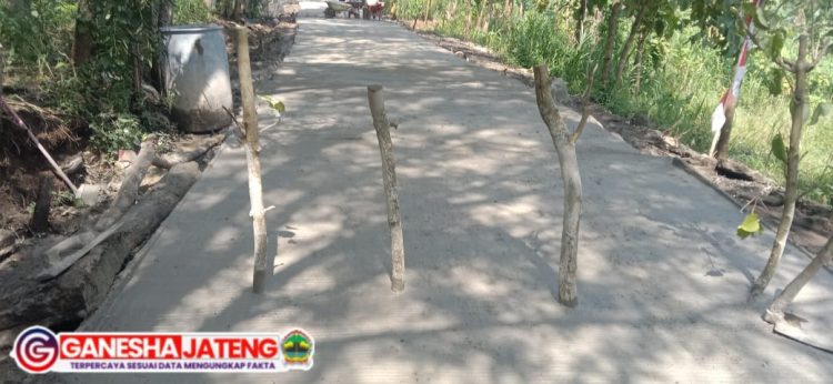 Betonisasi Jalan Hampir 100% Betonisasi Jalan Hampir 100%