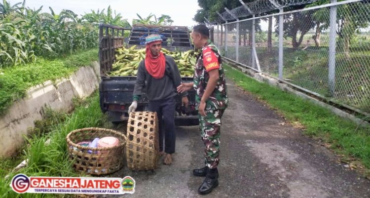 Babinsa Kemusu Beri Dorongan Motivasi Bagi Petani Watugede Babinsa Kemusu Beri Dorongan Motivasi Bagi Petani Watugede