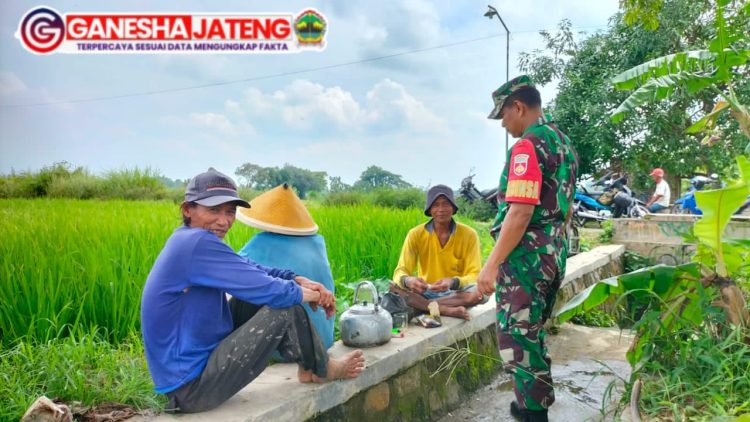 Kedekatan Babinsa Teras Dengan Petani Desa Kopen