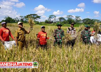 Dandim Boyolali Hadiri Vidcon Bersama Presiden RI Dan Juga Panen Di Desa Nepen Teras