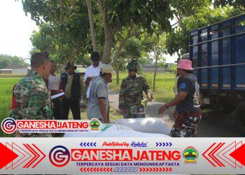 Babinsa Boyolali Jembatani Antara Petani Dan Bulog Terkait Hasil Panen