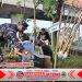 Sinergitas Lanudal Juanda Bersama Forkopimda, Tanam 1000 Pohon Puli Dan Kerja Bakti Massal Di Bundaran Fly Over Aloha Sidoarjo