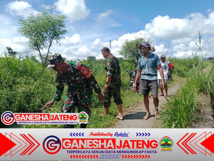 Babinsa dan Warga Karanggeneng Gotong Royong Bersihkan Irigasi Sawah Babinsa dan Warga Karanggeneng Gotong Royong Bersihkan Irigasi Sawah