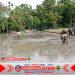 Babinsa Berjibaku, Bantu Petani Bajak Sawah Babinsa Berjibaku, Bantu Petani Bajak Sawah