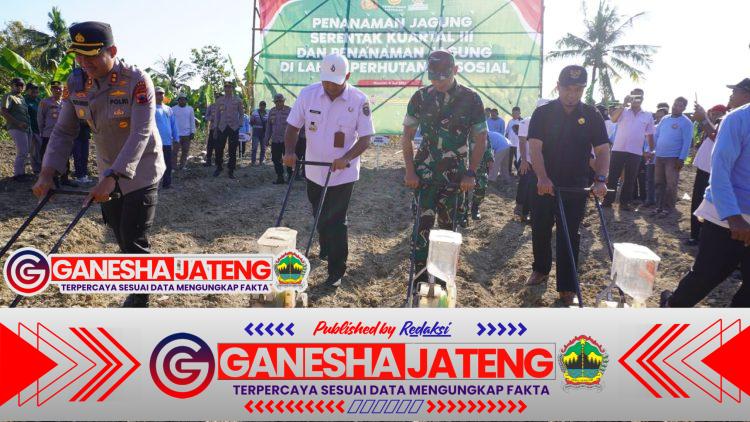 Dukung Swasembada Pangan Nasional, TNI-Polri dan Pemkab Tanam Jagung Serentak Dukung Swasembada Pangan Nasional, TNI-Polri dan Pemkab Tanam Jagung Serentak