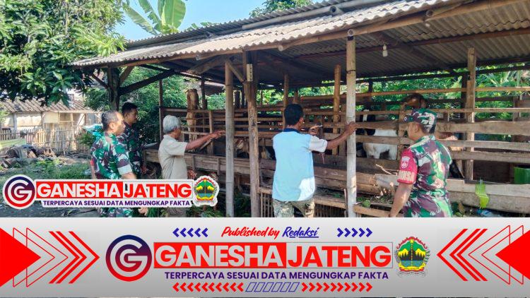 Babinsa Berbagi Informasi, Peternak Kambing di Gemolong Semakin Maju Babinsa Berbagi Informasi, Peternak Kambing di Gemolong Semakin Maju