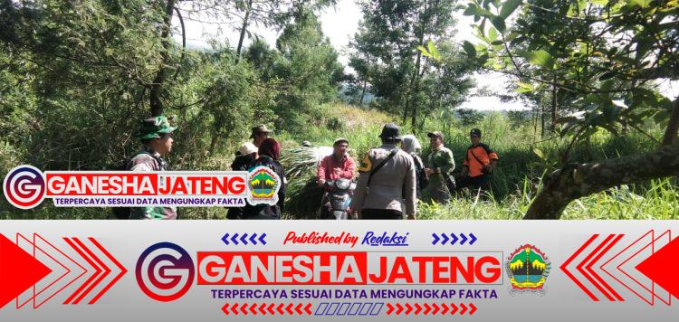 Babinsa dan Polhut Gelar Patroli Gabungan Cegah Karhutla di Kawasan Merapi-Merbabu Babinsa dan Polhut Gelar Patroli Gabungan Cegah Karhutla di Kawasan Merapi-Merbabu