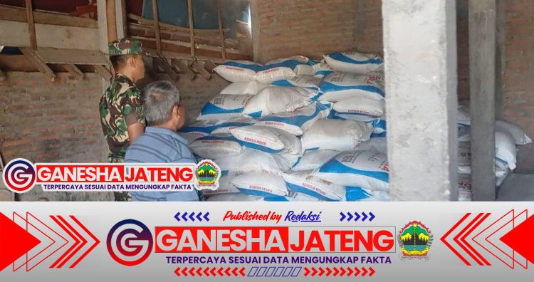 Babinsa Pantau Kebutuhan Pertanian, Sidak Ketersediaan Pupuk Babinsa Pantau Kebutuhan Pertanian, Sidak Ketersediaan Pupuk