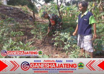 Babinsa Serengan Sambangi Lahan Ketahanan Pangan, Dorong Pemanfaatan Optimal Kesejahteraan Warga