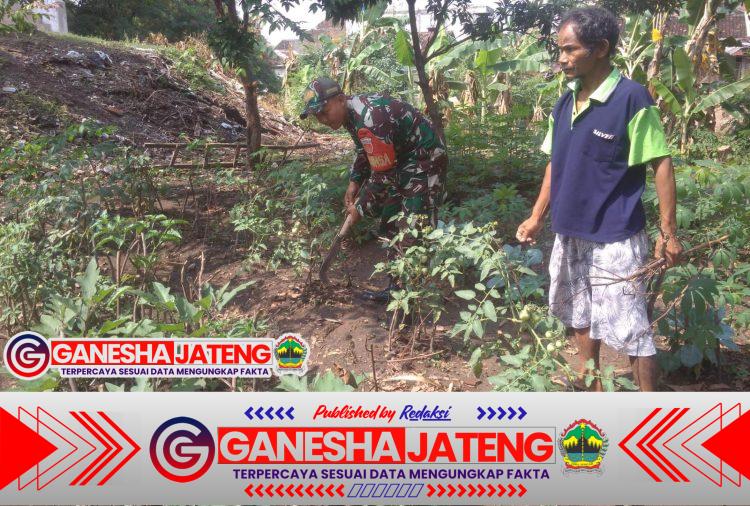 Babinsa Serengan Sambangi Lahan Ketahanan Pangan, Dorong Pemanfaatan Optimal Kesejahteraan Warga