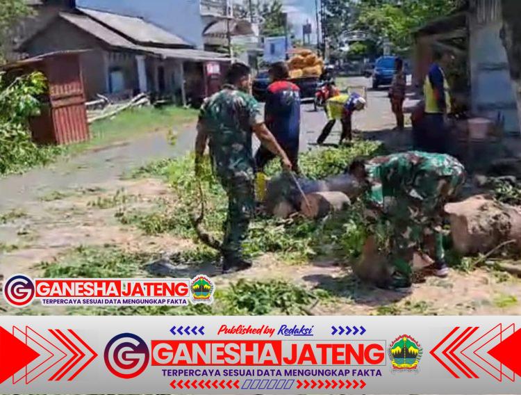 Babinsa Banaran Bantu Warga Potong Pohon Rawan Tumbang