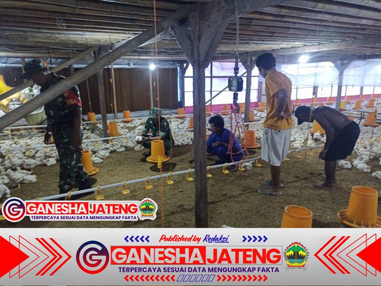 Babinsa Banyudono Ajak Petani Tembakau Semangat Berkarya