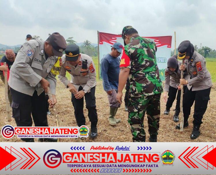 Polsek Anyar Ikut Penanaman Jagung Dukung Swasembada Pangan 2025