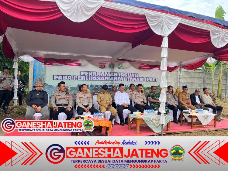 Polri dan Forkopimcam Tigaraksa Gelar Penanaman Jagung Serentak dalam Program Perluasan Areal Tanam (PAT) di Desa Pematang