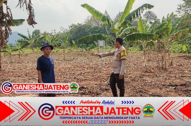 Polsek Anyar Lakukan Pengecekan Lahan Kepada Poktan Dalam Kesiapan Tanam Jagung Polsek Anyar Lakukan Pengecekan Lahan Kepada Poktan Dalam Kesiapan Tanam Jagung