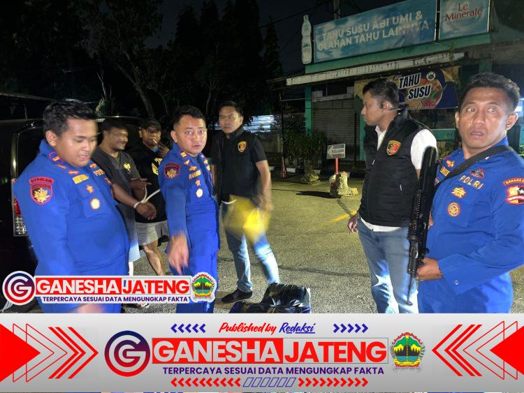 Polisi Airud Gagalkan Pengiriman 50 Ribu Benih Lobster Ilegal di Cianjur, Negara Berpotensi Rugi Rp7,5 Miliar