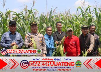 Kapolres Tanjab Barat dan Forkopimda Sukseskan Panen Raya Jagung Serentak