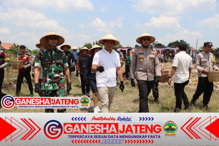 Kapolres Boyolali Pimpin Panen Jagung Serentak Kuartal III, Bukti Nyata Polri Hadir untuk Ketahanan Pangan