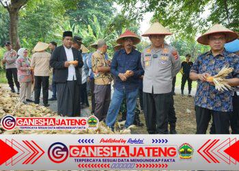 Dukung Asta Cita Presiden, Kapolresta Tangerang Panen Jagung Serentak Program Ketahanan Pangan