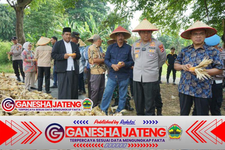 Dukung Asta Cita Presiden, Kapolresta Tangerang Panen Jagung Serentak Program Ketahanan Pangan