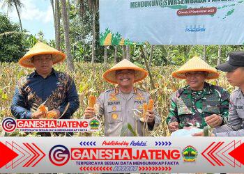 Polresta Cilacap Dukung Panen Raya Jagung Demi Swasembada Nasional