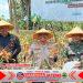 Polresta Cilacap Dukung Panen Raya Jagung Demi Swasembada Nasional