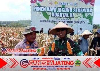 Forkopimda Boyolali Gelar Panen Raya Jagung Serentak, Dorong Ketahanan Pangan Daerah