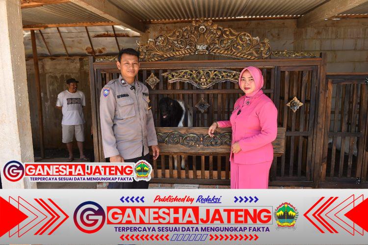 Ternak Kambing Etawa, Polisi di Jepara Sukses Wujudkan Dedikasi dan Ketahanan Pangan Ternak Kambing Etawa, Polisi di Jepara Sukses Wujudkan Dedikasi dan Ketahanan Pangan