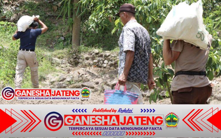 Aipda Januri Sulap Lahan Kosong Jadi Sumber Pangan Melalui Budidaya Singkong Aipda Januri Sulap Lahan Kosong Jadi Sumber Pangan Melalui Budidaya Singkong