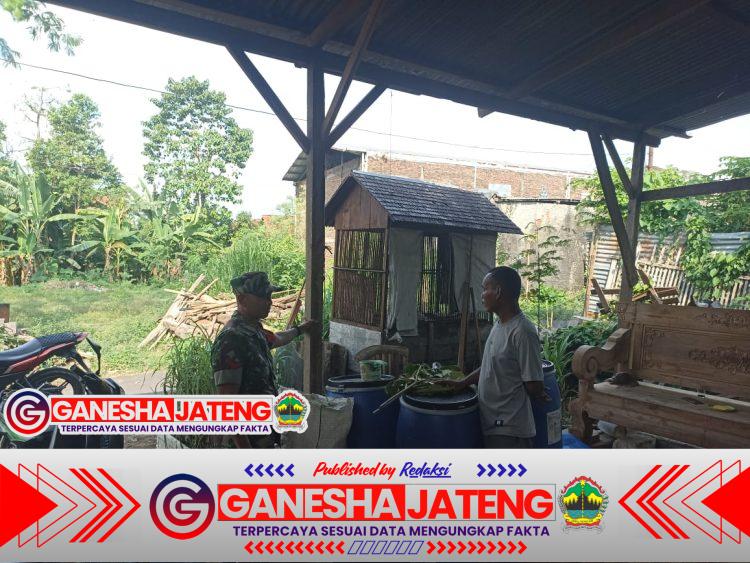Babinsa Juwangi Dampingi Peternak Kambing, Dorong Peningkatan Kesejahteraan Warga