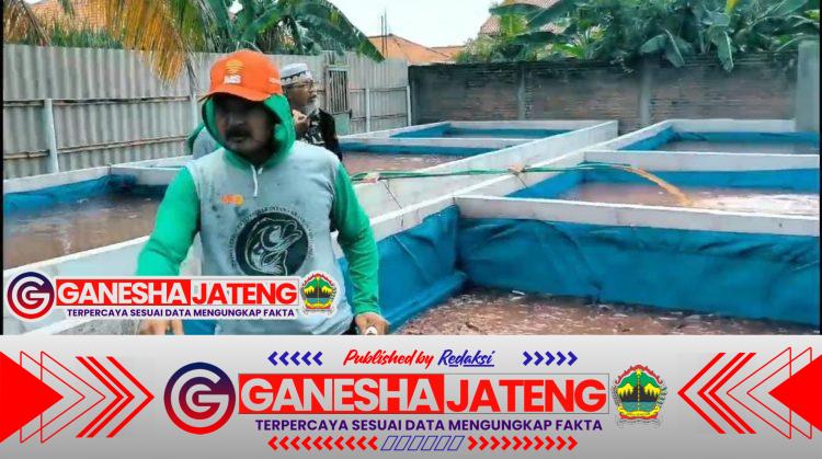 Manfaatkan Lahan Pekarangan, Aiptu Yustar Khamidi Sukses Budidaya Ikan Lele