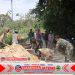 Babinsa Bantu Warga dalam Kegiatan Penimbunan Jalan di Desa Babinsa Bantu Warga dalam Kegiatan Penimbunan Jalan di Desa