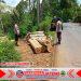 Respons Humanis Polsek Somagede Polresta Banyumas, Warga Diimbau Tak Bongkar Muat Kayu Di Jalan Respons Humanis Polsek Somagede Polresta Banyumas, Warga Diimbau Tak Bongkar Muat Kayu Di Jalan
