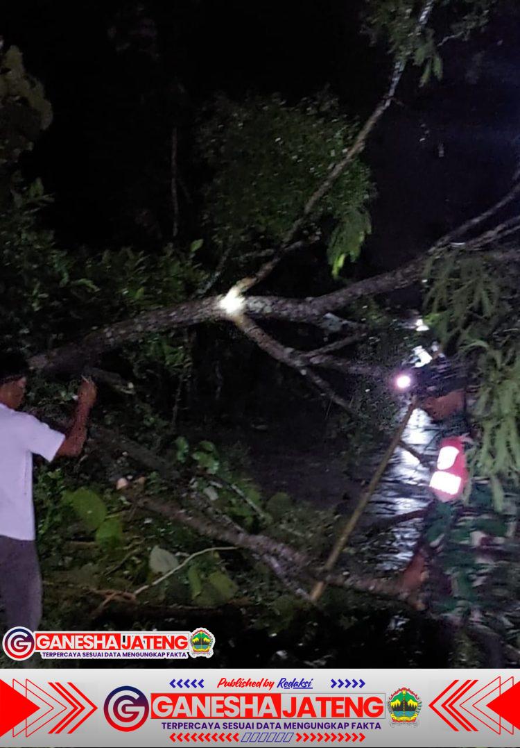 Babinsa Sertu Budi Utomo Sigap Tangani Pohon Tumbang, Akses Warga Simo Kembali Normal