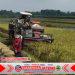 Efisiensi Kerja, Babinsa Bantu Petani Panen Padi Menggunakan Mesin Combi