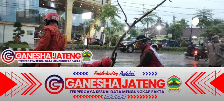 Pohon Akasia Tumbang Timpa Mobil di Sruweng, Lalu Lintas Sempat Tersendat Pohon Akasia Tumbang Timpa Mobil di Sruweng, Lalu Lintas Sempat Tersendat