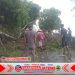 Pohon Tumbang Halangi Jalan Penghubung Desa, Polsek Gunem Sigap Evakuasi Pohon  Pohon Tumbang Halangi Jalan Penghubung Desa, Polsek Gunem Sigap Evakuasi Pohon