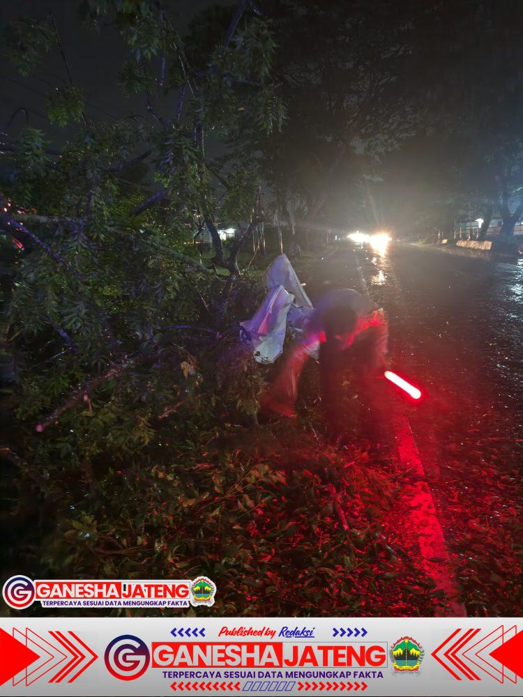 Polsek Pati Kota Evakuasi Pohon Tumbang di Jalur Pantura, Arus Lalu Lintas Kembali Lancar Polsek Pati Kota Evakuasi Pohon Tumbang di Jalur Pantura, Arus Lalu Lintas Kembali Lancar