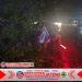 Polsek Pati Kota Evakuasi Pohon Tumbang di Jalur Pantura, Arus Lalu Lintas Kembali Lancar Polsek Pati Kota Evakuasi Pohon Tumbang di Jalur Pantura, Arus Lalu Lintas Kembali Lancar