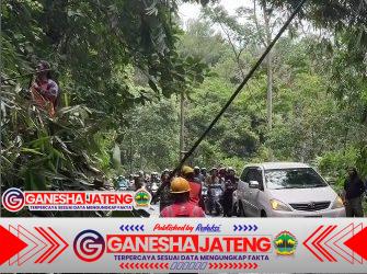 Dapuran Bambu Longsor Tutup Jalan Kajen-Paninggaran, Kapolsek Kajen Pimpin Tim Evakuasi