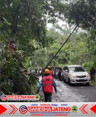 Dapuran Bambu Longsor Tutup Jalan Kajen-Paninggaran, Kapolsek Kajen Pimpin Tim Evakuasi Dapuran Bambu Longsor Tutup Jalan Kajen-Paninggaran, Kapolsek Kajen Pimpin Tim Evakuasi